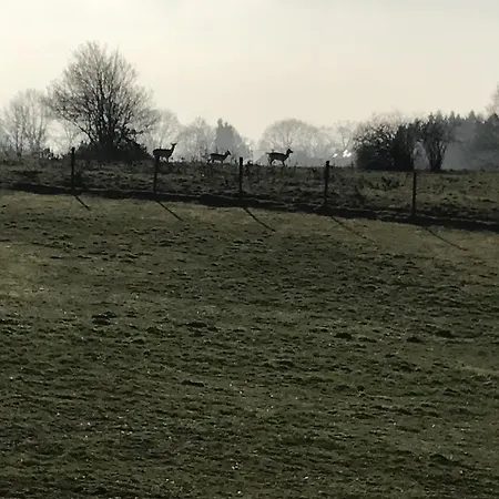 Gasterij Berg En Dal فندق