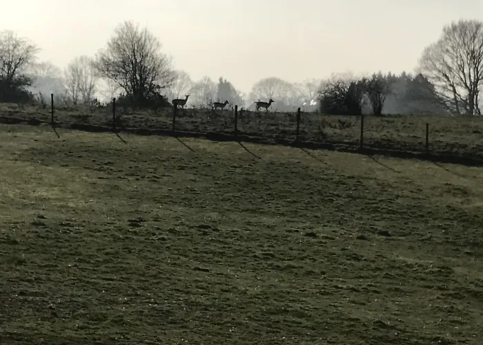 Gasterij Berg En Dal Hotel